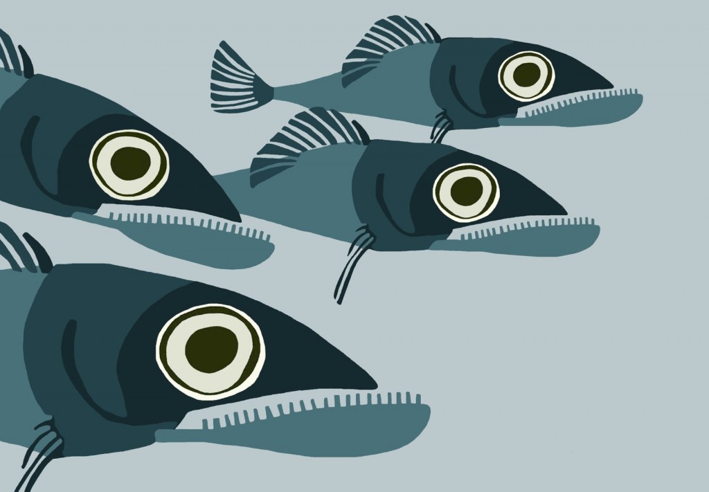 Bad fishes