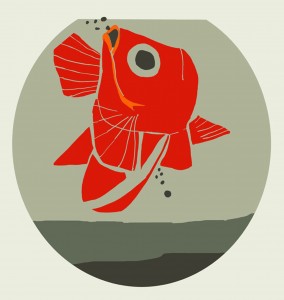 La vita di un pesce rosso